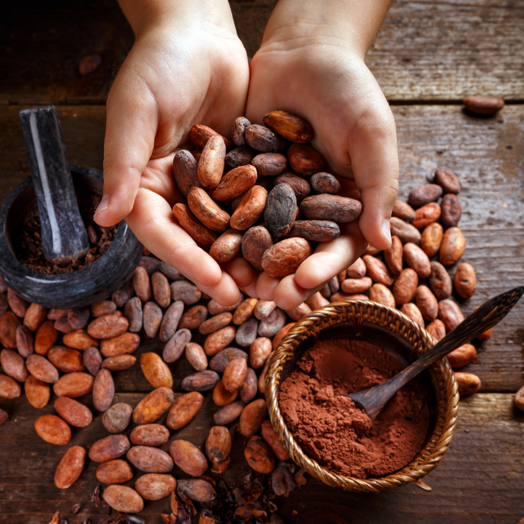 Les bienfaits de la fève de cacao 