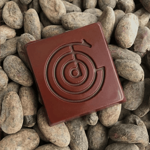 Carré de chocolat noir au gingembre 11g - The Good Chocolate